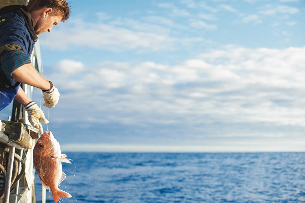 20150717_NZ_Fisheries_ 577_1