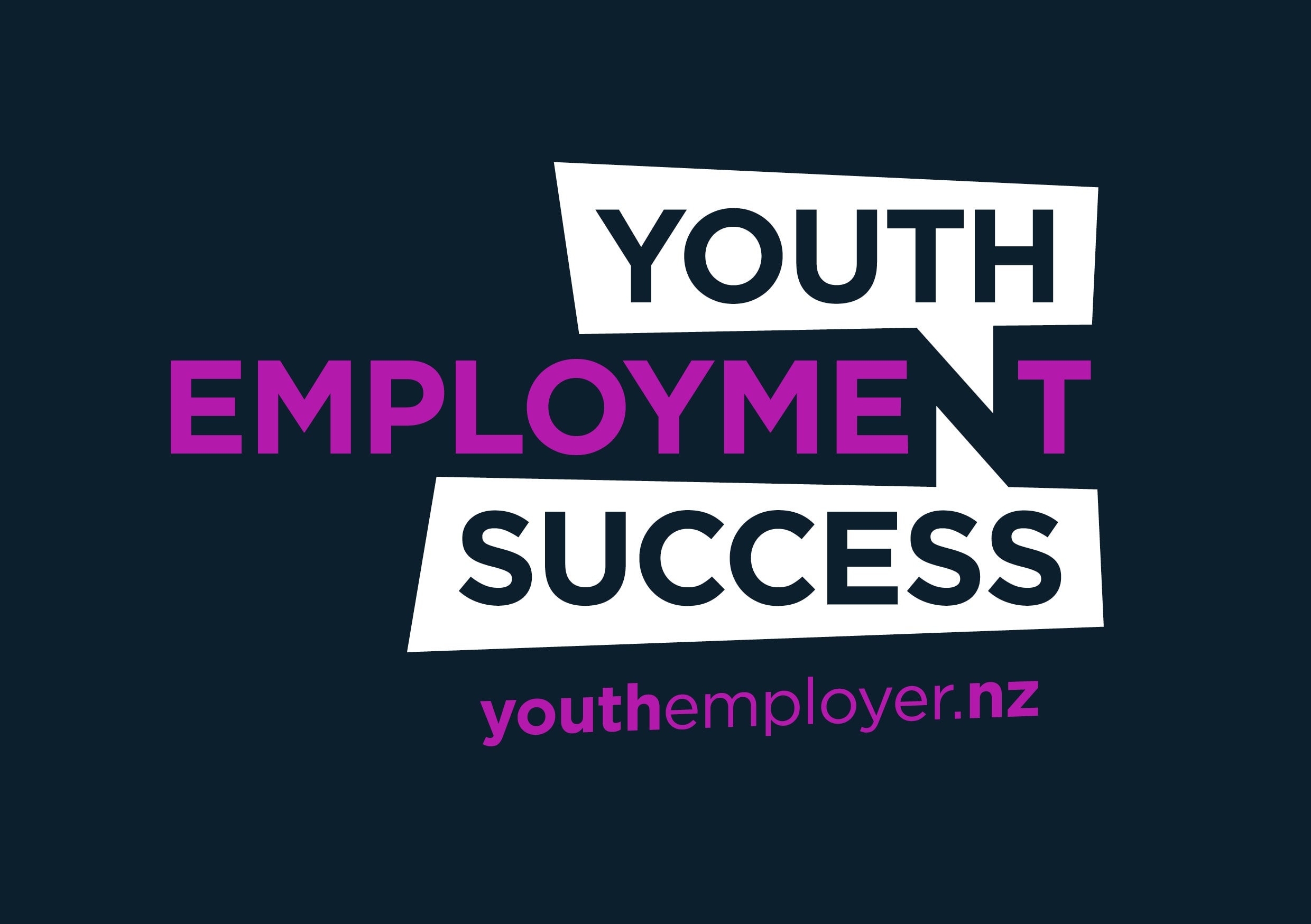 Youth Employment Success
